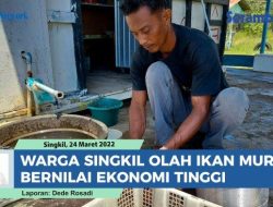 VIDEO Begini Cara Warga Aceh Singkil Olah Ikan Murahan Jadi Bernilai Ekonomi Tinggi