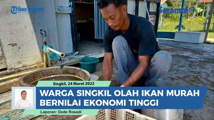 VIDEO Begini Cara Warga Aceh Singkil Olah Ikan Murahan Jadi Bernilai Ekonomi Tinggi