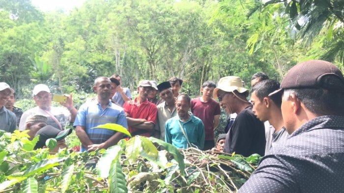 Warga Kemukiman Nosar Aceh Tengah Dilatih Memangkas Kopi