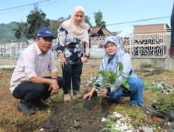 Distanbun Aceh Kembangkan 182 Ha Alpukat Tahun Ini, Termasuk untuk Hijaukan Masjid