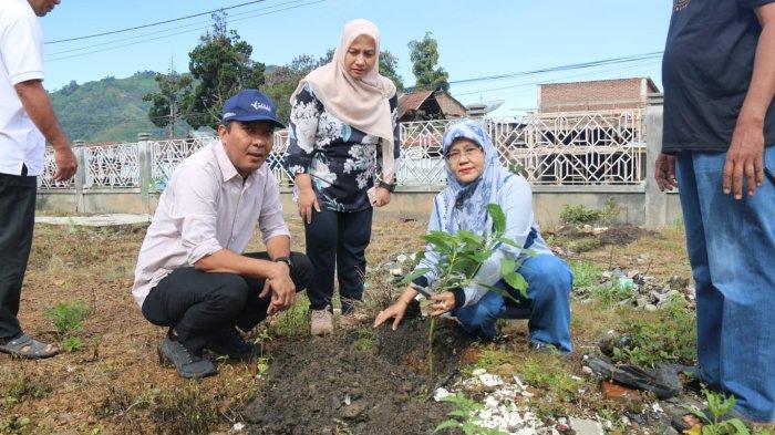 Distanbun Aceh Kembangkan 182 Ha Alpukat Tahun Ini, Termasuk untuk Hijaukan Masjid