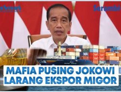 Larangan Ekspor CPO Rugikan Pemerintah, Presiden Joko Widodo: Kebutuhan Masyarakat Prioritas