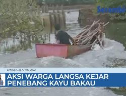 VIDEO Diawali Aksi Kejar-kejaran, Warga Simpang Lhee Langsa Kembali Tangkap Penebang Bakau