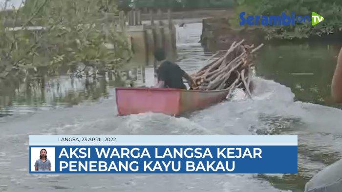 VIDEO Diawali Aksi Kejar-kejaran, Warga Simpang Lhee Langsa Kembali Tangkap Penebang Bakau