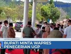 VIDEO Disela-sela Kunjungan Singkat Wapres, Bupati Shabela Minta Penegerian UGP dan Budidaya Alpukat