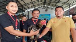 Aceh Rooster Community Gelar Show Ayam Hias di Mayor Kopi