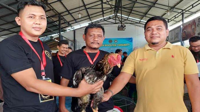 Aceh Rooster Community Gelar Show Ayam Hias di Mayor Kopi