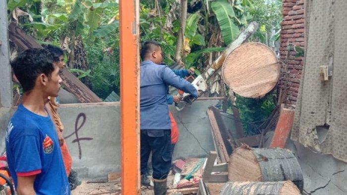 Angin Kencang di Aceh Besar, Dua Rumah Tertimpa Pohon Tumbang di Gampong Ateuk Lam Ura 
