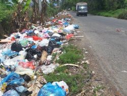 Ilmuwan Kembangkan Enzim PETase yang Bisa Hancurkan Limbah Plastik dengan Cepat