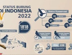 Indonesia Hadapi Ancaman Kepunahan Burung Tertinggi di Dunia