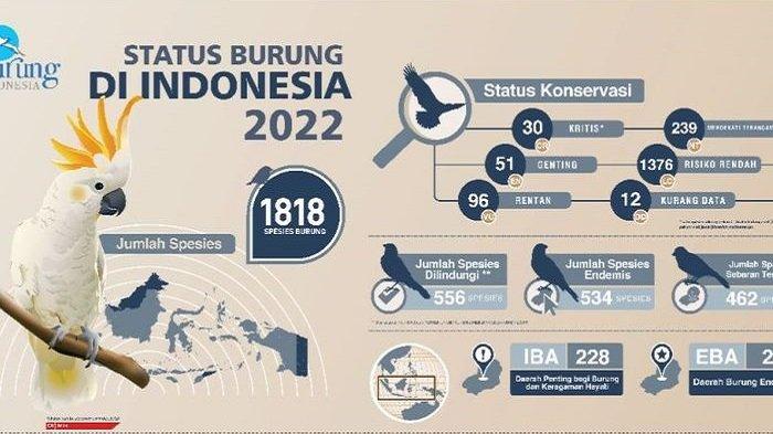 Indonesia Hadapi Ancaman Kepunahan Burung Tertinggi di Dunia