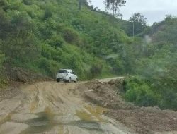 Jalan Nasional Gayo Lues Berbatasan dengan Agara Bertabur Lubang dan Amblas