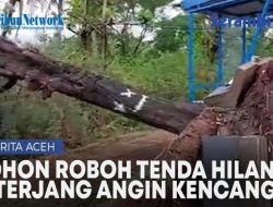 Pohon Roboh sampai Tenda Hilang di Jalan Menuju Pelabuhan Ulee Lheue Usai Diterjang Angin Kencang