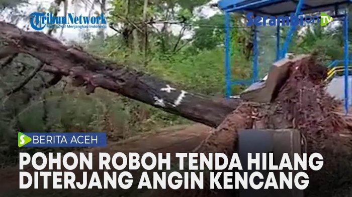 Pohon Roboh sampai Tenda Hilang di Jalan Menuju Pelabuhan Ulee Lheue Usai Diterjang Angin Kencang