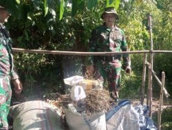 Prajurit TNI Temukan Ganja Kering di Kaki Gunung Seulawah