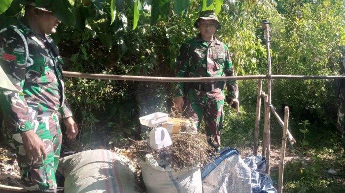 Prajurit TNI Temukan Ganja Kering di Kaki Gunung Seulawah