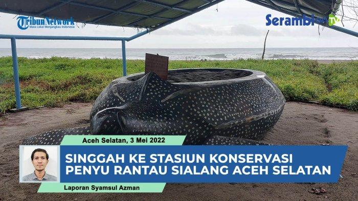 Singgah ke Stasiun Konservasi Penyu Rantau Sialang, Tempat Pelestarian Tukik Pantai Barat Selatan