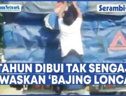 VIDEO Gebuki Bajing Loncat hingga Tewas, Sopir Truk Asal Medan Labuhan Divonis 5 Tahun Bui