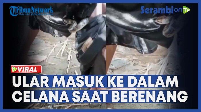 VIDEO - Heboh, Ular Masuk ke dalam Celana saat Berenang