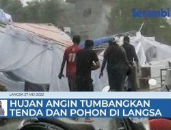 VIDEO Hujan dan Angin Kencang Tumbangkan Tenda Pesta Pernikahan dan Pohon di Langsa