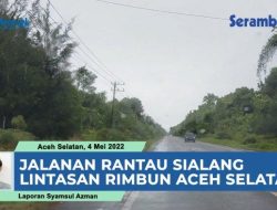 VIDEO Jalanan Rantau Sialang Aceh Selatan, Lintas Dipenuhi Pepohonan nan Rimbun