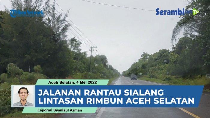 VIDEO Jalanan Rantau Sialang Aceh Selatan, Lintas Dipenuhi Pepohonan nan Rimbun