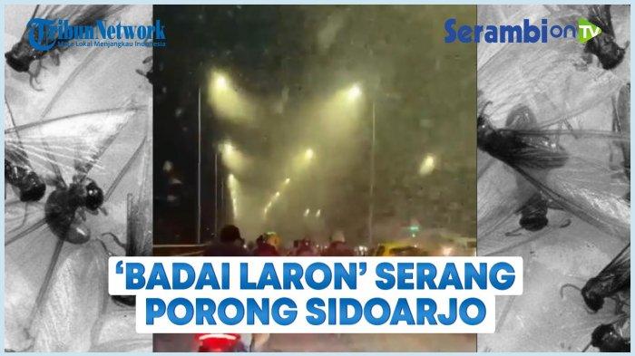 VIDEO Jembatan Sungai Porong Sidoarjo di Serang 'Badai Laron'