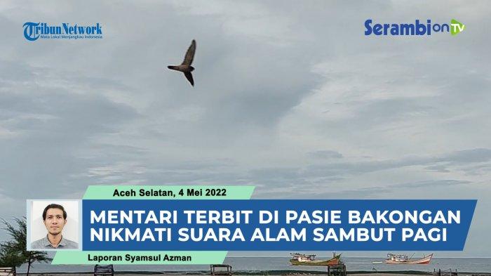 VIDEO Mentari Terbit di Pasie Bakongan, Nikmati Suara Alam Menyambut Pagi