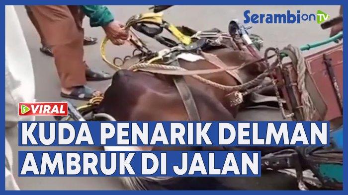 VIDEO Viral Diduga Kelelahan Kuda Penarik Delman Ambruk di Jalan dalam Kondisi Lemas