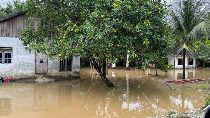 Krueng Tripa dan Seumayam Meluap, Dua Desa di Nagan Raya Terendam Banjir