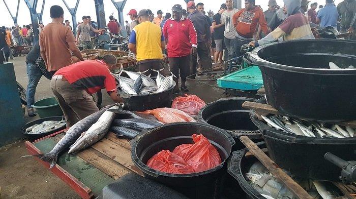 Tangkapan Boat Ikan di PPS Lampulo per Hari Capai 130 Ton, Harga Ikan Kualitas Medium Mulai Turun